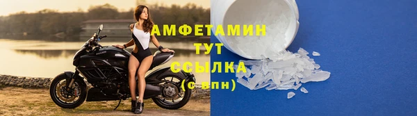 крисы Абаза