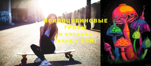 крисы Абаза
