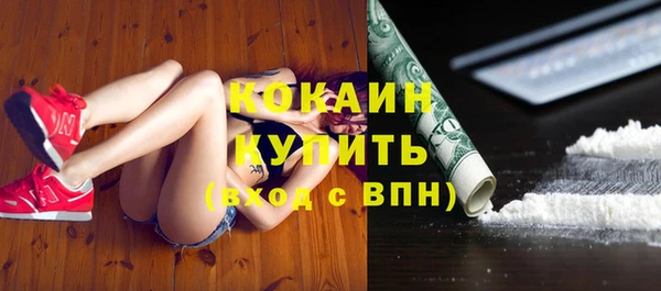 крисы Абаза